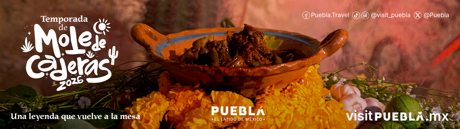 1600x450_mole caderas