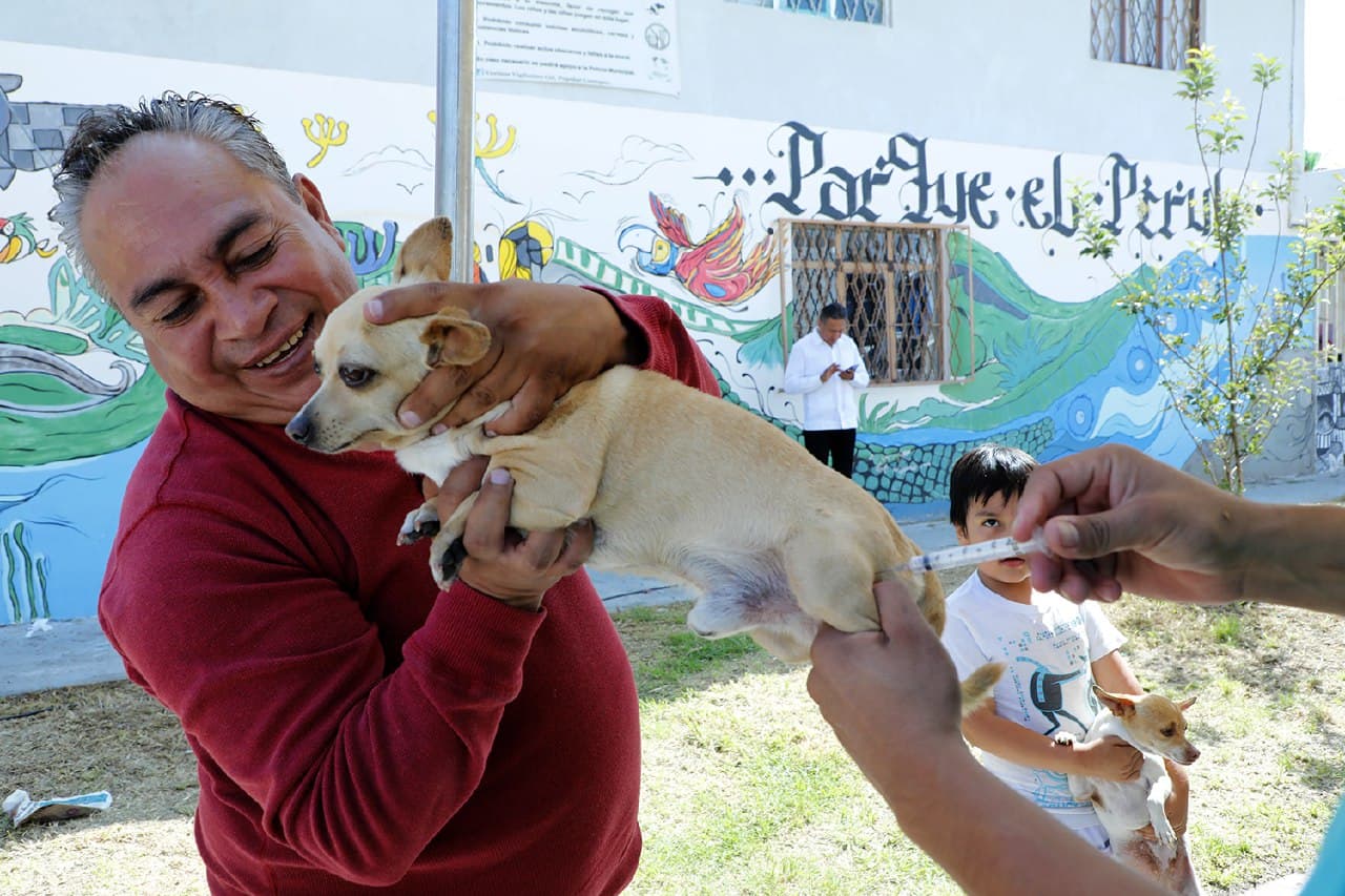 Mantiene Ayuntamiento de Puebla servicios del departamento de Protección  Animal - Interacción MX