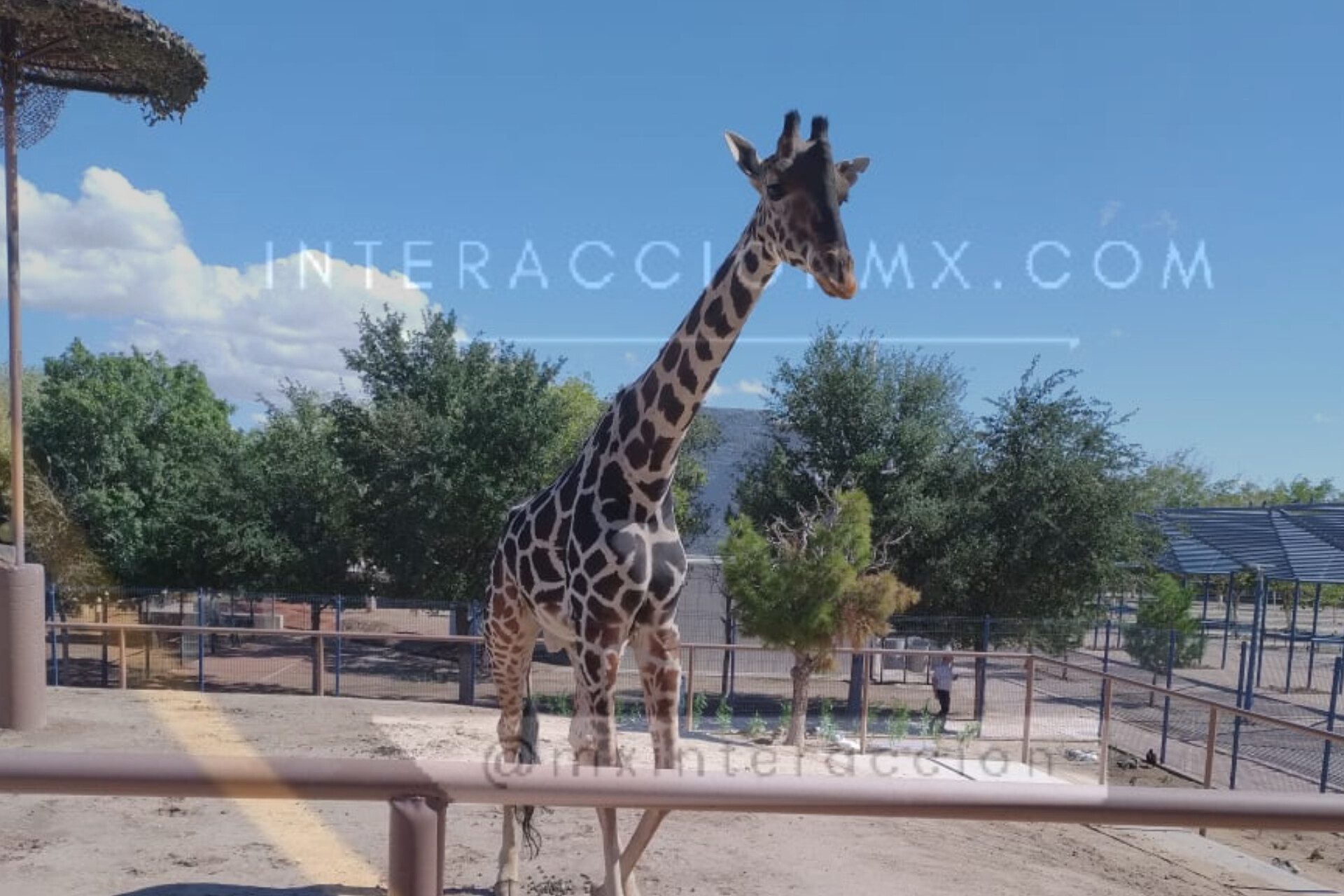  Reconoce Tlaxcala resolución de la procuraduría federal para la protección al ambiente