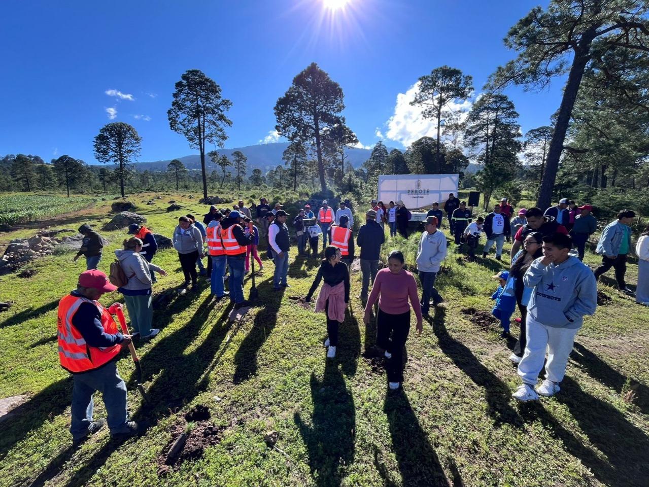  Granjas Carroll de México reforesta con más de 15 mil árboles el ejido Tenextepec