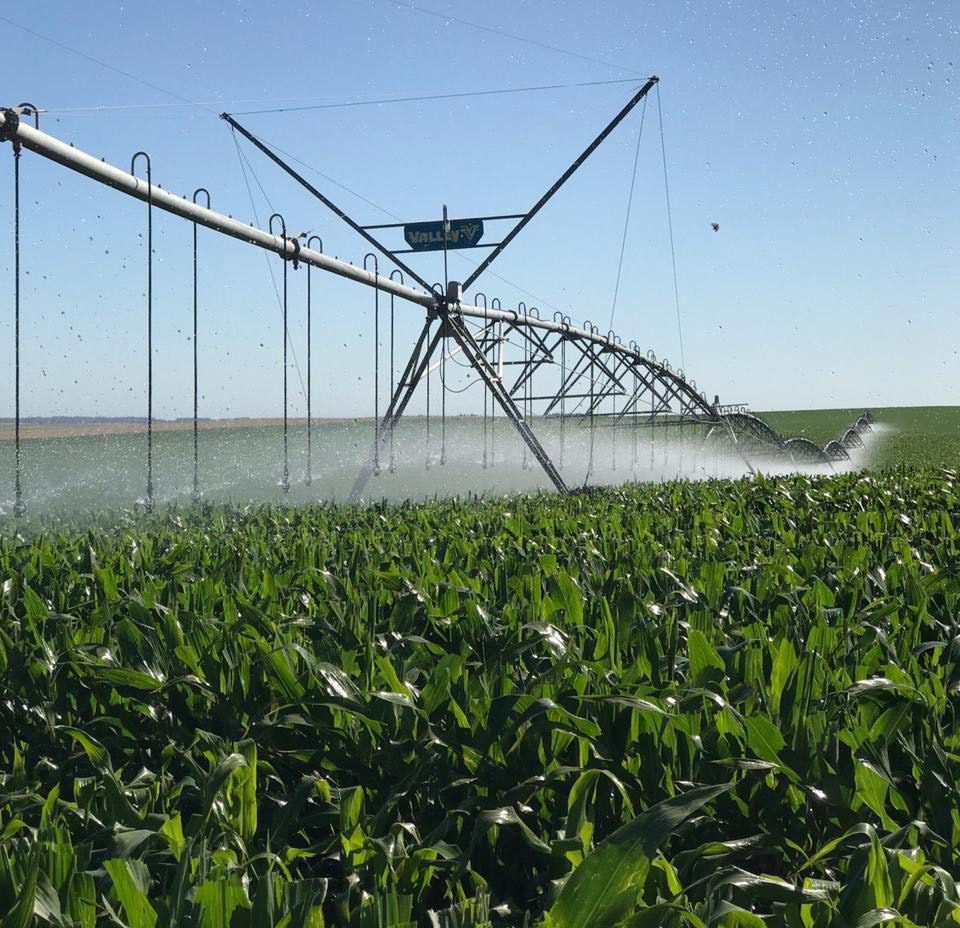  Granjas Carroll de México y el uso del agua en su producción