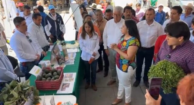 Tona Agri Tianguis San Pedro