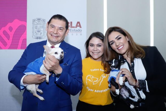 Bienestar Animal Atención en Puebla Alejadro Armenta (1)