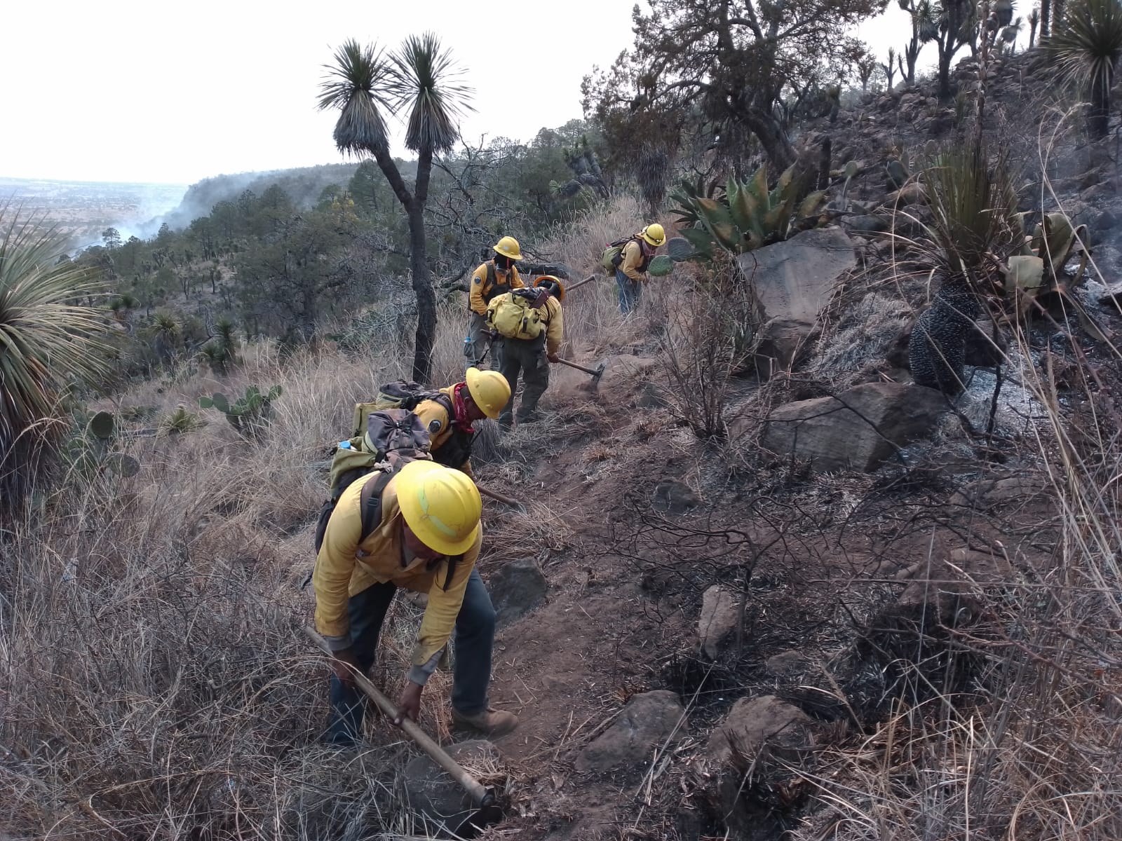  Continúa gobierno estatal trabajos de combate de incendios forestales