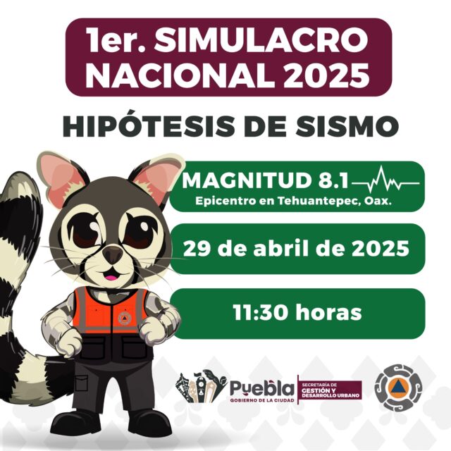 simulacro 2025 pueba Pepe Chedradui (1)