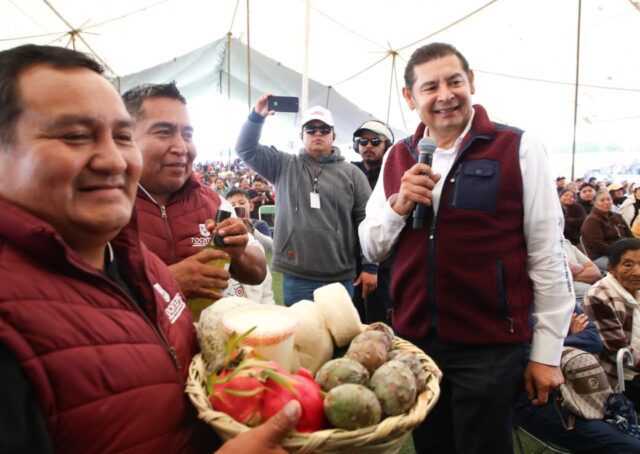 ALEJANDRO ARMENTA PUEBLA