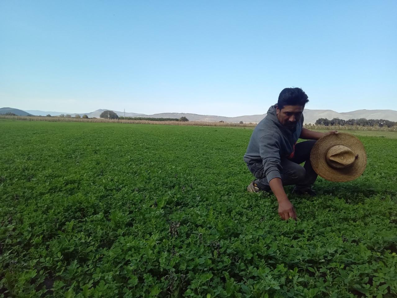  Impulsa Altosano Granjas Carroll la reconversión agrícola en Puebla y Veracruz 