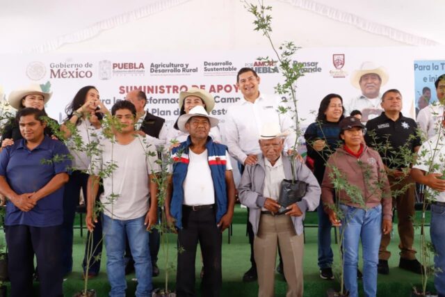 Proyecto de Reforestaciòn En Puebla Alejandro Armenta