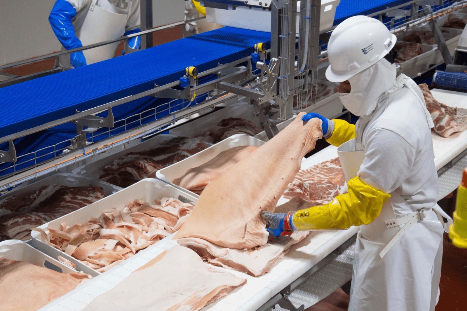  Casas de asistencia del DIF han recibido 21 años carne que dona Altosano Granjas Carroll