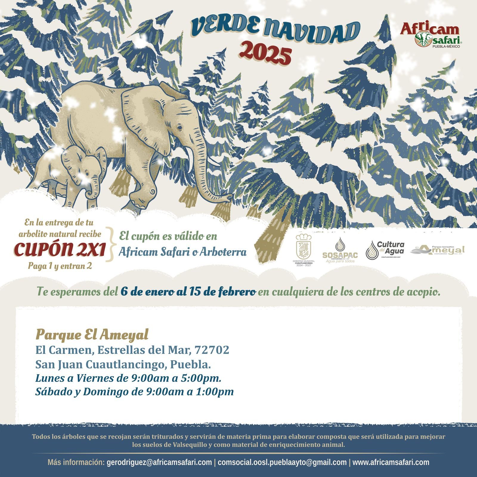  Última semana del programa Verde Navidad en Cuautlancingo