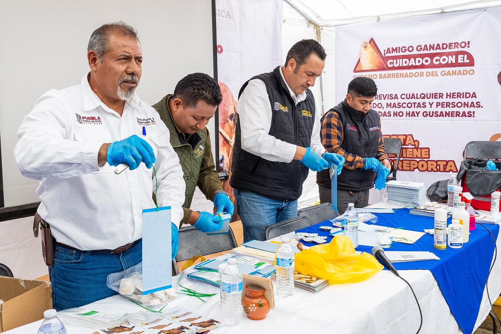  Refuerza Gobierno Estatal prevención del gusano barrenador en la Sierra Norte