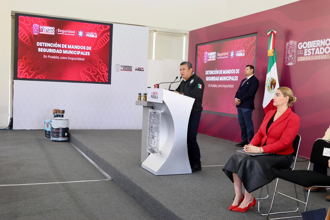  Con inteligencia y estrategia, Gobierno Estatal desmantela producción de estupefacientes en Sierra Norte