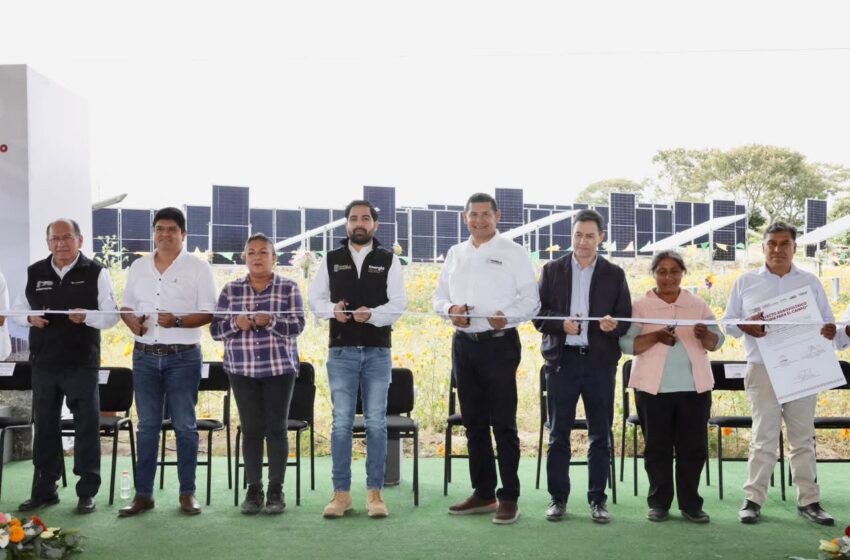  Primer Sistema Agrovoltaico del país en Puebla, Gobierno Estatal marca precedente