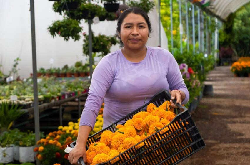 Productores atlixquenses reconocen estrategia estatal para impulsar al campo