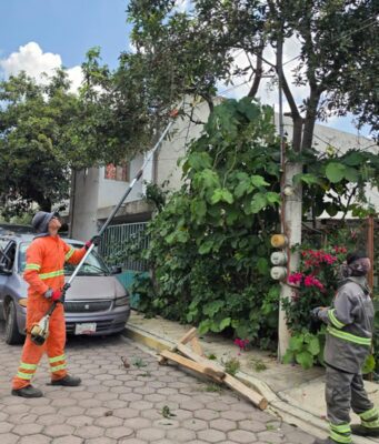 Gobierno de Cuautlancingo mantiene atención a afectaciones derivadas de la lluvia