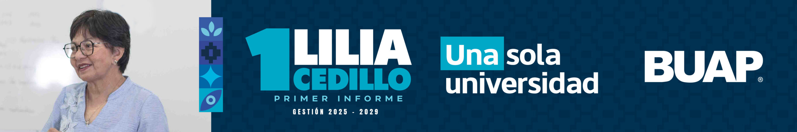 Digiqole ads